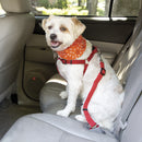 Jack & Dixie Clic N’ Go Universal Pet Seat Belt